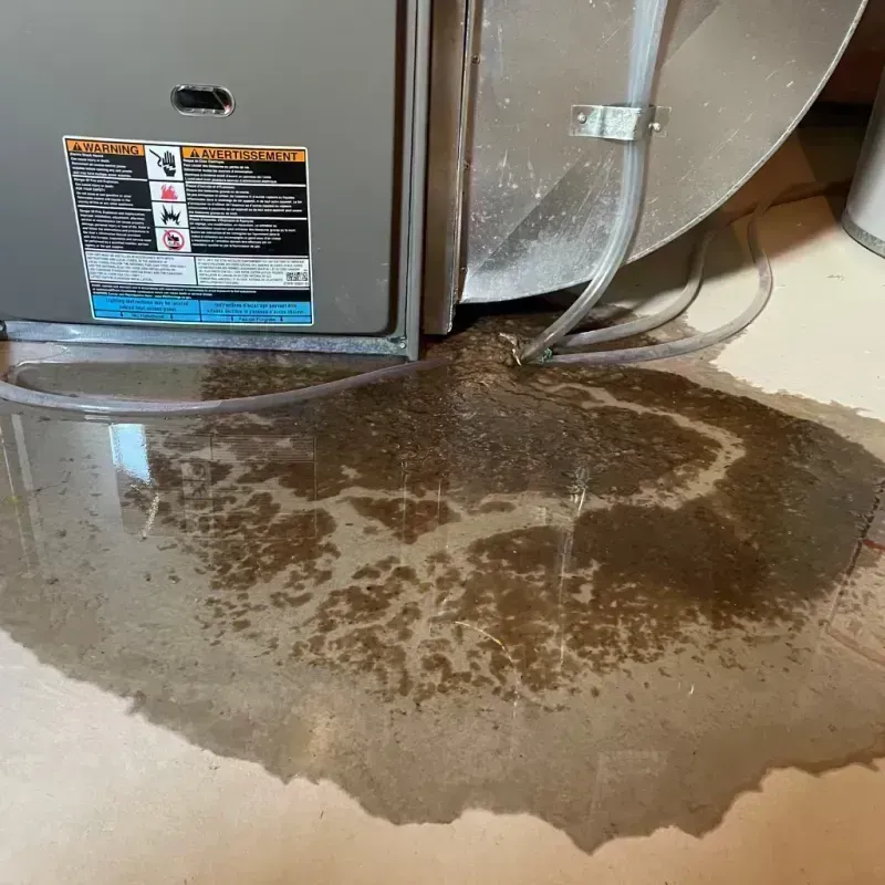 Appliance Leak Cleanup in Iron County, MO